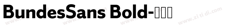 BundesSans Bold字体转换 BundesSans Bold字体转换